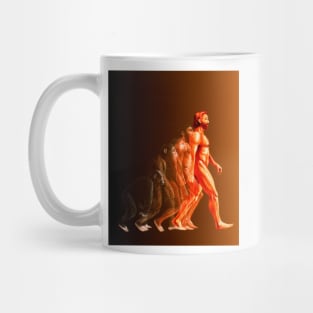 Illustration of the stages in human evolution (E436/0031) Mug